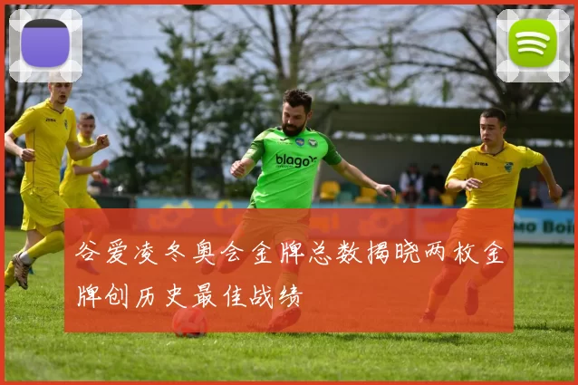 谷爱凌冬奥会金牌总数揭晓两枚金牌创历史最佳战绩