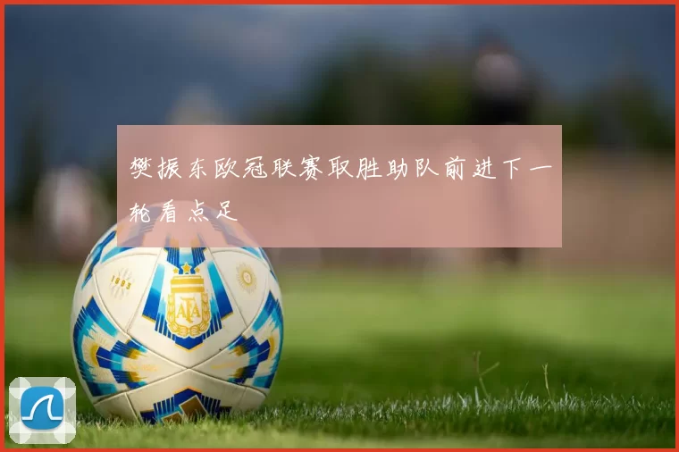 樊振东欧冠联赛取胜助队前进下一轮看点足