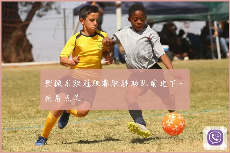 樊振东欧冠联赛取胜助队前进下一轮看点足